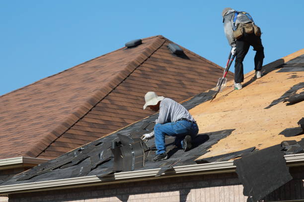 Best Metal Roofing Installation  in Mountain City, GA